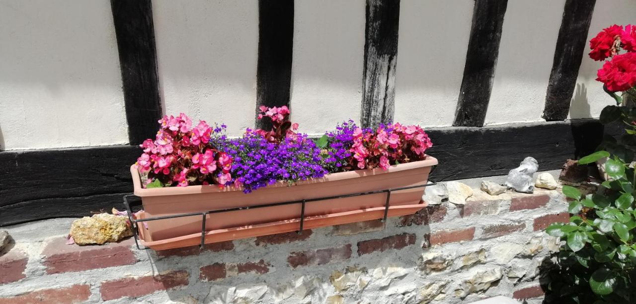 Le Clos Saint Leger Anxtot エクステリア 写真